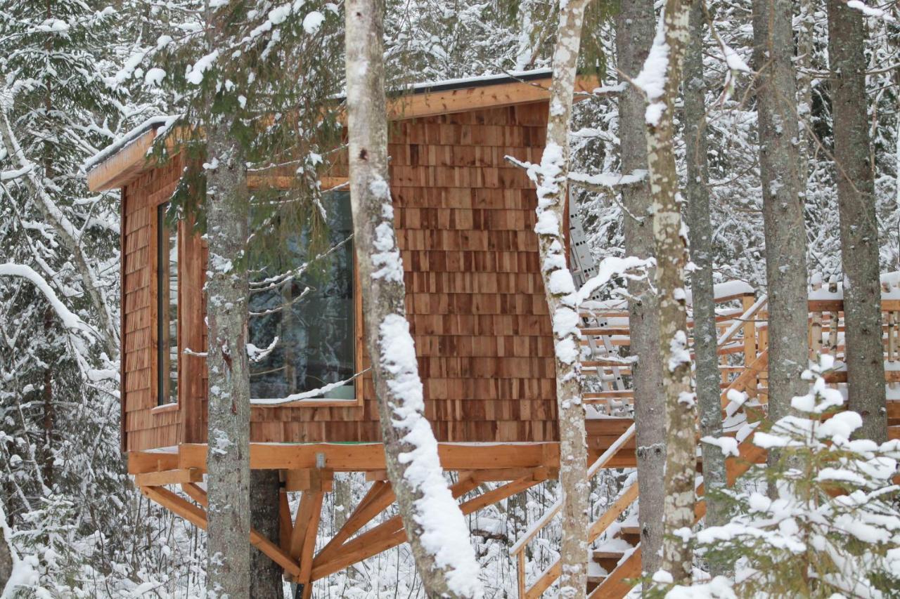 Tiigrisilma Treehouse Hotel Kohila Exterior photo
