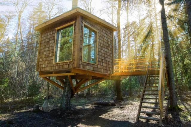 Tiigrisilma Treehouse Hotel Kohila Exterior photo