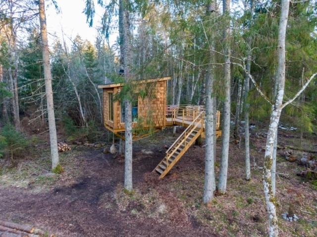 Tiigrisilma Treehouse Hotel Kohila Exterior photo